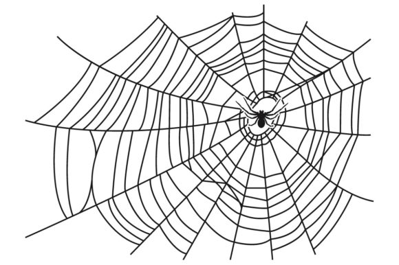 Download Halloween Spider Web Vector - Vector Collection