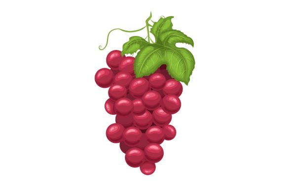 Download Grape Red Cartoon Vector Illustration - Vector Collection